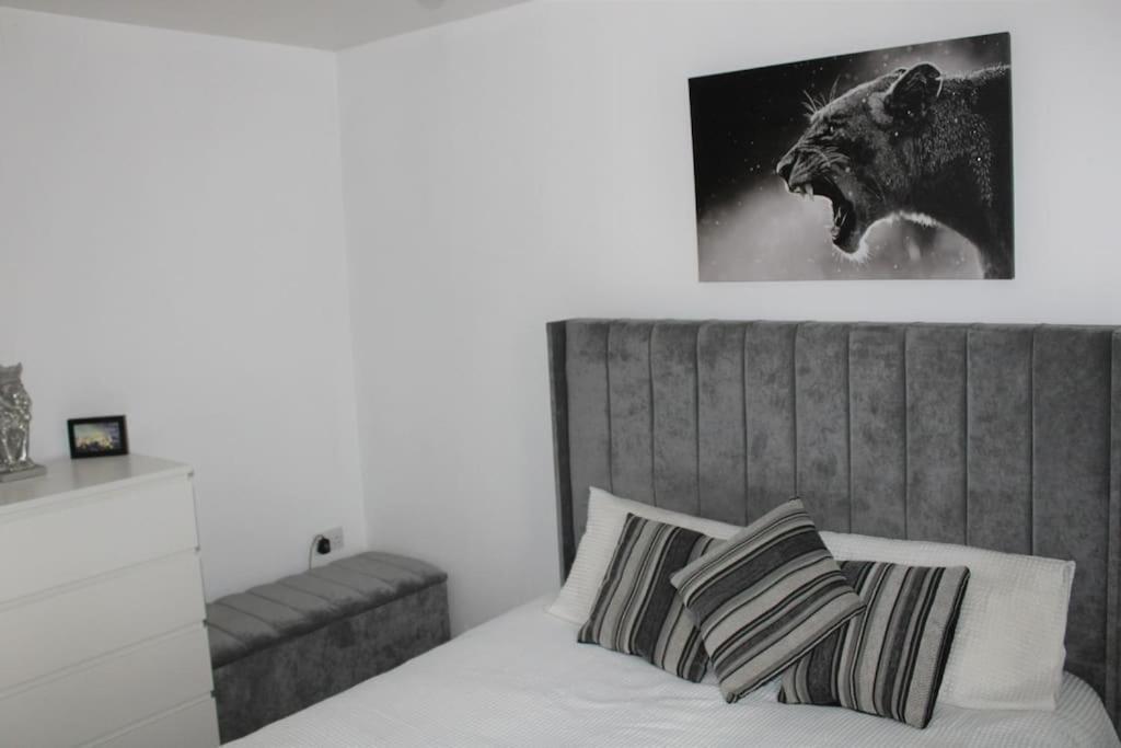 Lovely Modern Apartment Close To Town Centre Lexden المظهر الخارجي الصورة